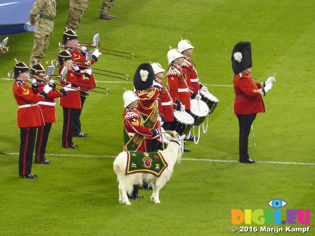 FZ025471 Welsh militairy band with goat mascot